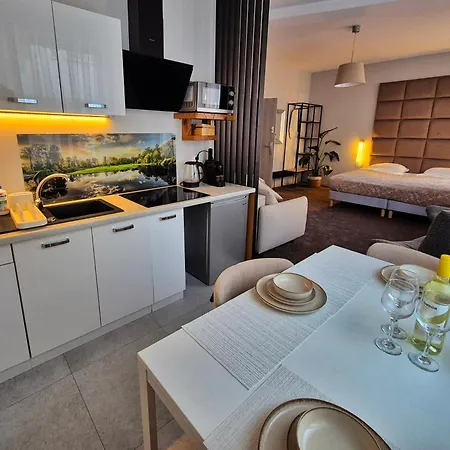 Apartment Apartament Strumyk Czarnkow